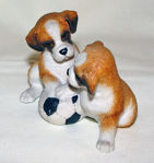 Picture of Boxers with football ball
