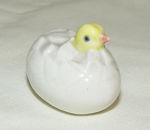 Picture of Chick in Egg