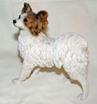Picture of Dog - Papillon