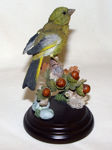 Picture of Green Finch with Acorns