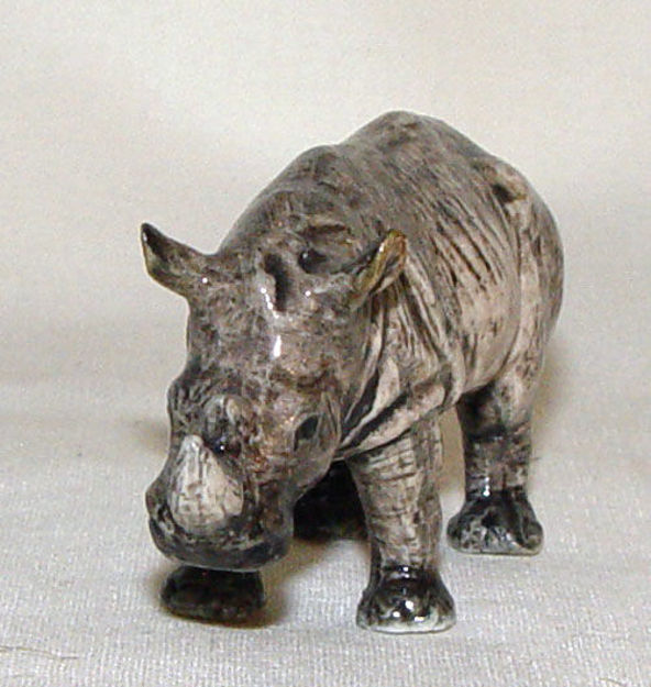 Picture of Rinoceros