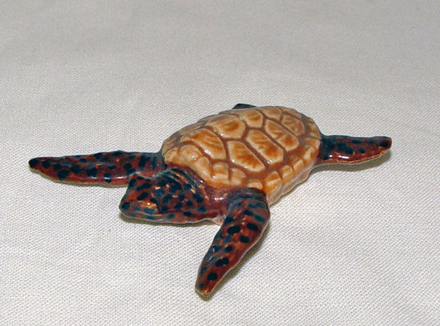 Picture of Sea Turtle