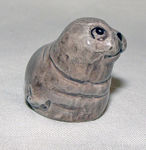 Picture of Seal