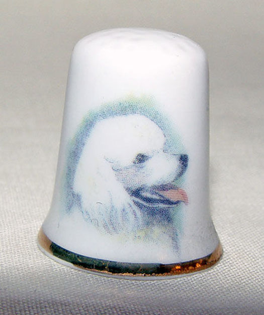 Picture of Thimble dog