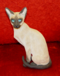 Picture of Siamese Cat