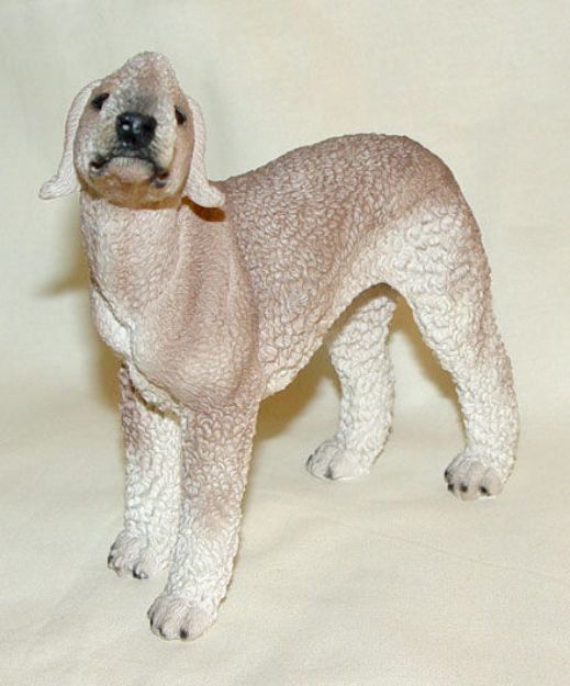 Picture of Bedlington terrier Dog